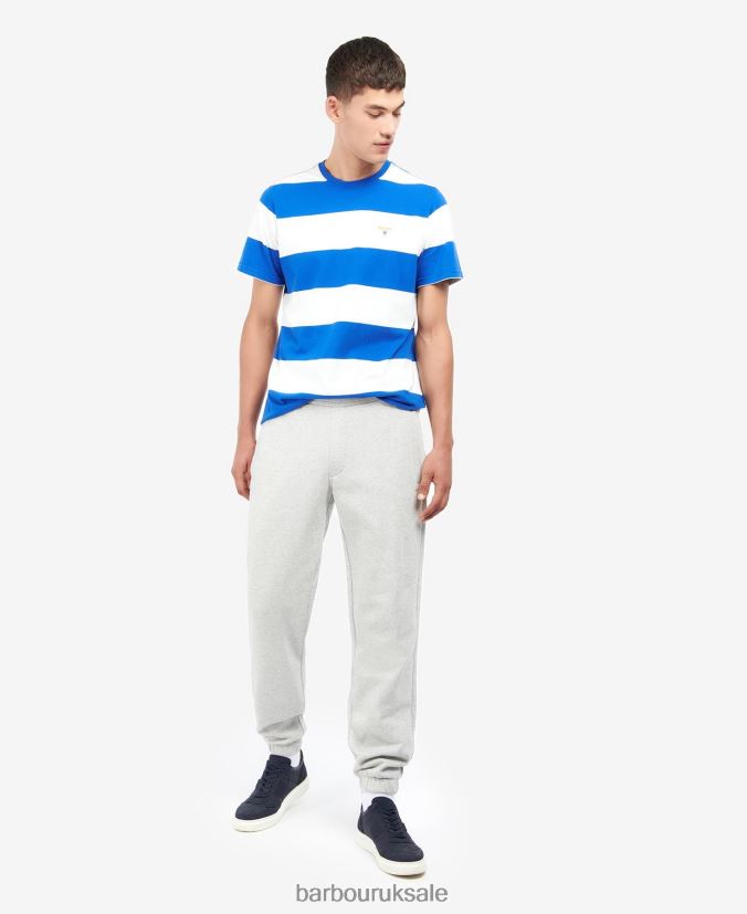 Cornell Stripe T-Shirt Barbour Men R08LB6923 Clothing Sycamore